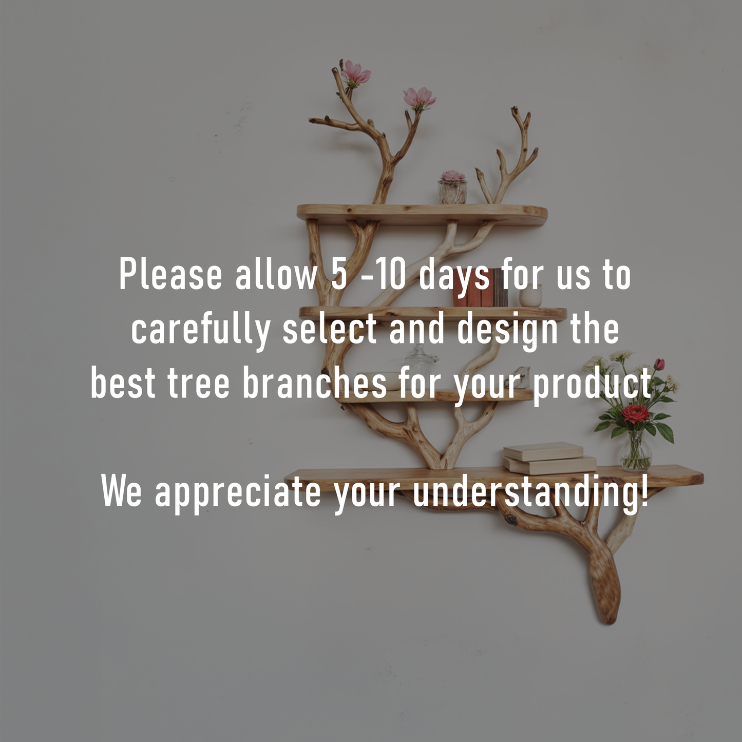 Natural driftwood shelf natural floating shelves solid wood bookshelf art wall mount decor unique tree bracnh bookshelves